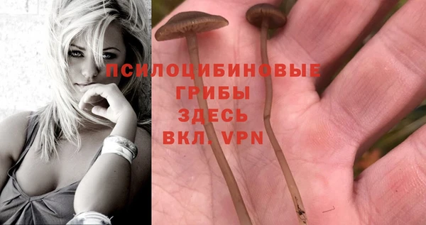 винт Алексеевка