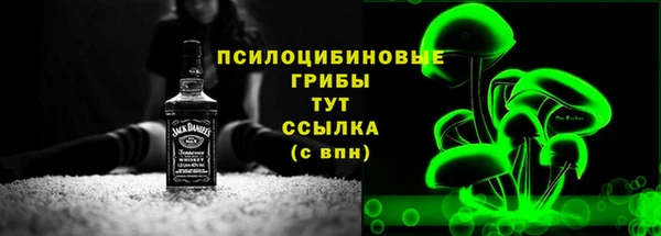 спайс Алексин