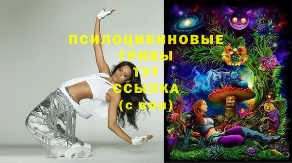 спайс Алексин