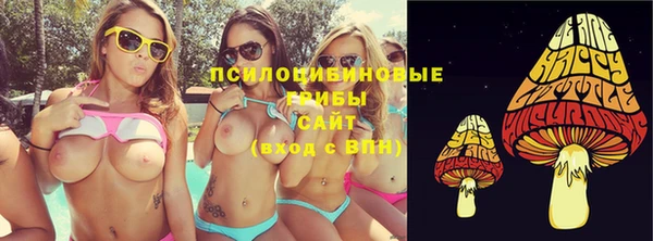 спайс Алексин