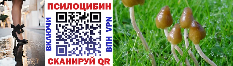 mega ТОР Бирск Галлюциногенные грибы мицелий